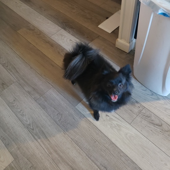 Meet your Posher, Heather - Picture 4 of 4